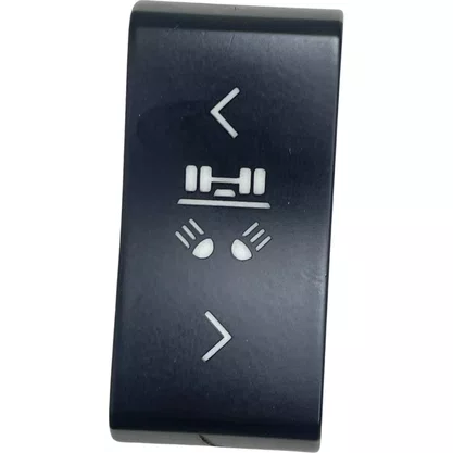 Botao Seletor Iluminacao Servico Scania NTG 2447186 Original