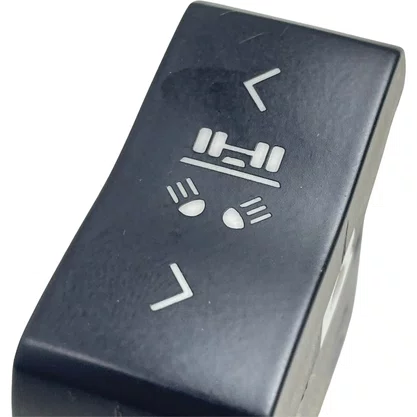 Botao Seletor Iluminacao Servico Scania NTG 2447186 Original