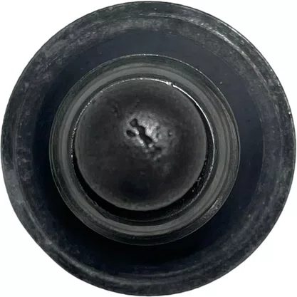 Bujao Carter Scania S4 P G R Euro 5 1423608 1433641 Original