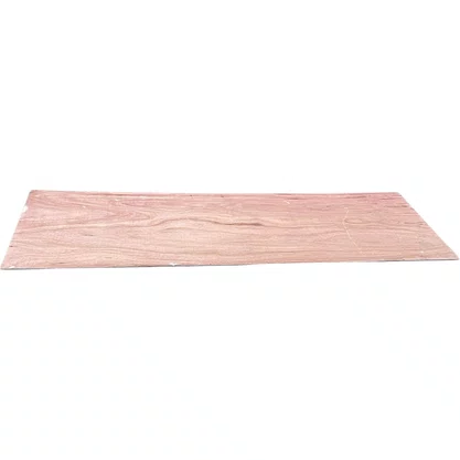 Chapa Ecotech 2970x1000mm Branco 850010027U DMC