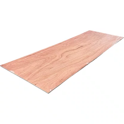 Chapa Ecotech 2970x1000mm Branco 850010027U DMC