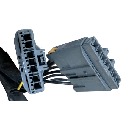 Chicote Fiacao Teto Scania NTG 2532994 Original