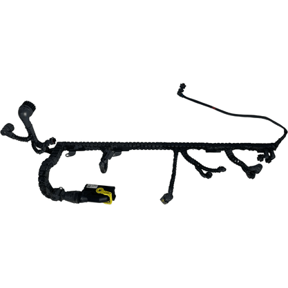 Chicote Unidade DAF XF106 CF Euro 6 2146987 Original