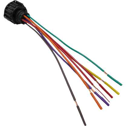 Conector Chicote 7 Vias Lanterna Traseira LED ETE7665 Rainha das Sete