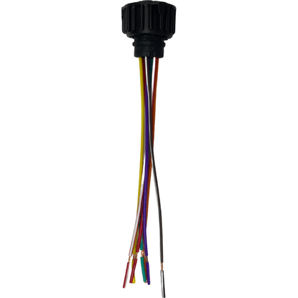 Conector Chicote 7 Vias Lanterna Traseira LED ETE7665 Rainha das Sete