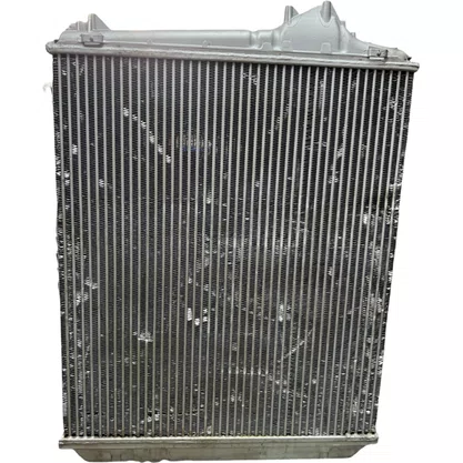 Conjunto Radiador Agua Intercooler Volvo FH 460 540 2566 Original