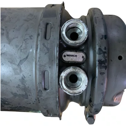 Cuica Estacionaria Cavalo Modelo Wabco 24x30x120mm Original