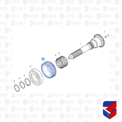 Engrenagem Constante Movel Scania GR905 1476192 Euroricambi