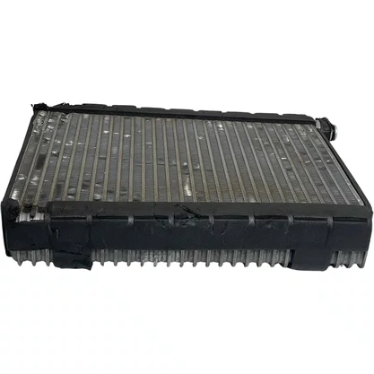 Evaporador Ar Condicionado Daf XF106 2438387 Original