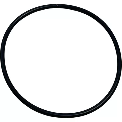 Filtro Diesel Mercedes Benz Atego Axor A0000901551 Original