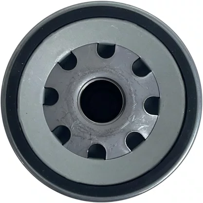 Filtro Racor DAF XF85 XF105 1433649 PL420X Mann Filter