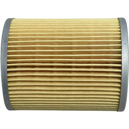 Filtro Retarder Scania GRS905 GRS905R 1381235 Mann Filter