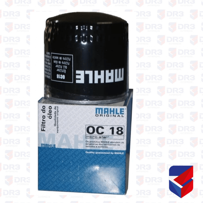 Filtro Turbina Scania 113 500860 17371 H10W20 OC18 Mahle
