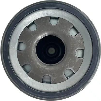 Filtro Turbina Volvo 4775565 WP11102 Mann Filter