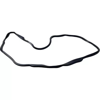 Junta Carter Motor DAF XF105 1643512 Bester