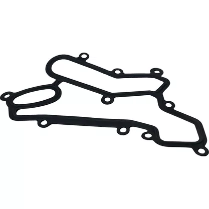 Junta Filtro Rotativo Scania S5 440 1863303 59531OR Santa Cruz