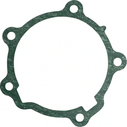Junta Flange Traseira Caixa Cambio Scania GRS905 GRS895 Santa Cruz
