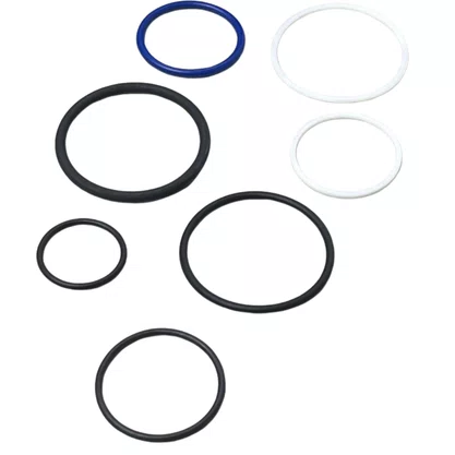 Kit Reparo Unidade Injetora Scania 440 Euro 5 F0004N051 Bosch