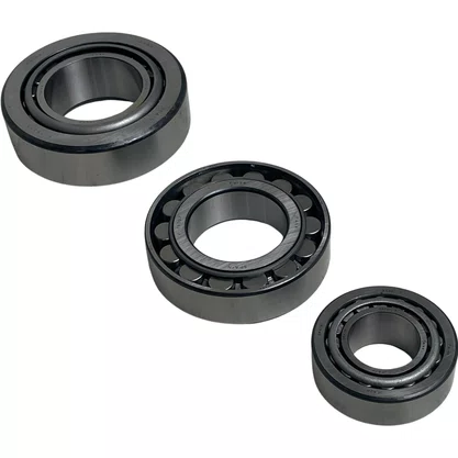 Kit Rolamento Diferencial RD662 Scania B08547