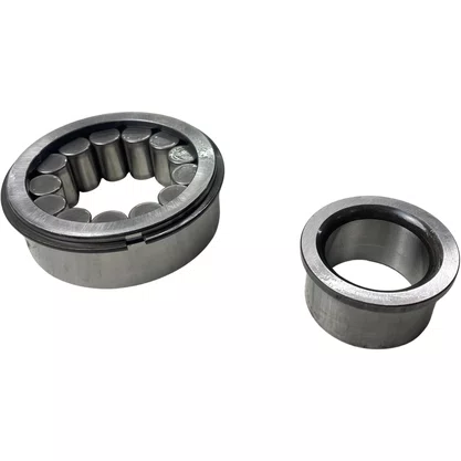 Kit Rolamento Diferencial Scania R660 1746781 FAG