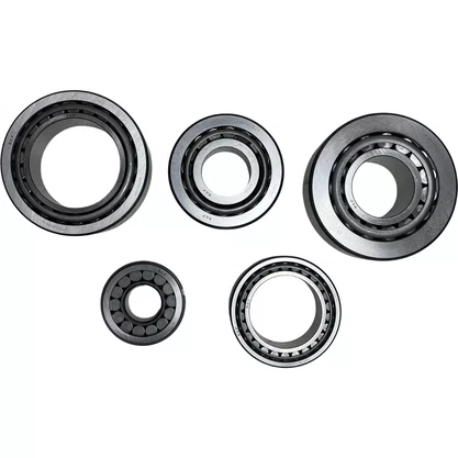 Kit Rolamento Diferencial Scania R780 SKF