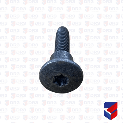 Parafuso Acabamento Painel Scania 31,60x6,00mm
