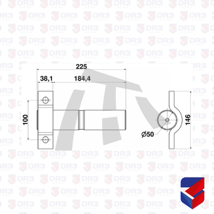 Pino Balanca Truck TE Randon 50mm x 225mm 04018 OL1016