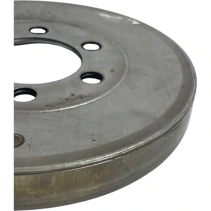 Polia Antivibratoria Comando DAF XF105 CF85 1640379 Original