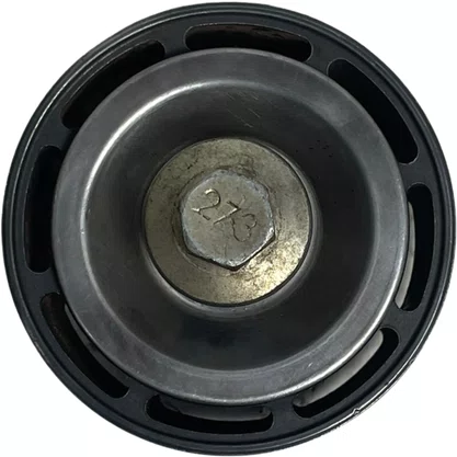 Polia Esticador Correia Scania 440 Lisa Ferro 1734903 Original