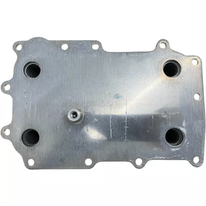 Radiador Oleo Motor DAF XF105 1725348 1780140 Bester