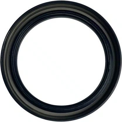 Retentor Roda Traseiro Ford/Volvo/Iveco Tector 02713BRY