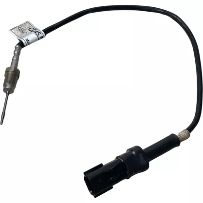 Sensor Temperatura Gases Catalisador Ford Volkswagem Daf Original