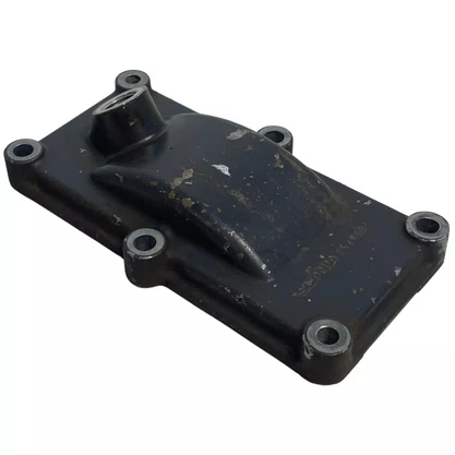 Tampa Lateral Caixa Scania GRS905 GRS895 1549549 Original