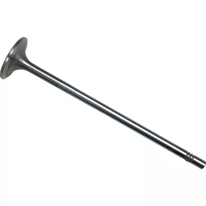 Valvula Admissao Volvo D13 Euro 5 20712128 20740798 21428655 Eaton