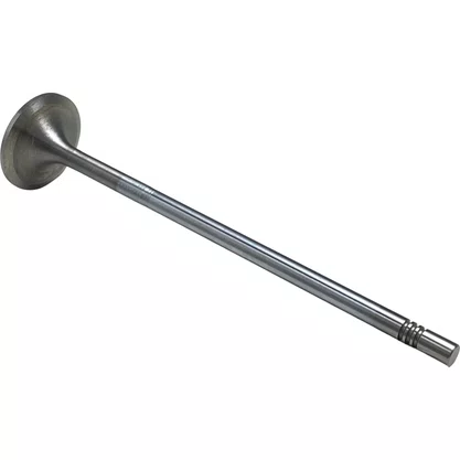 Valvula Admissao Volvo D13 Euro 5 20712128 20740798 21428655 Eaton