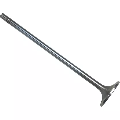 Valvula Admissao Volvo D13 Euro 5 20712128 20740798 21428655 Eaton