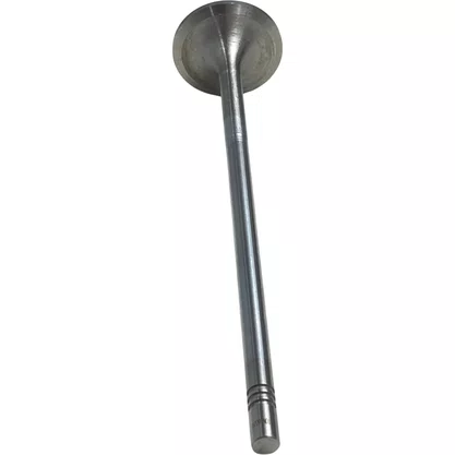 Valvula Admissao Volvo D13 Euro 5 20712128 20740798 21428655 Eaton