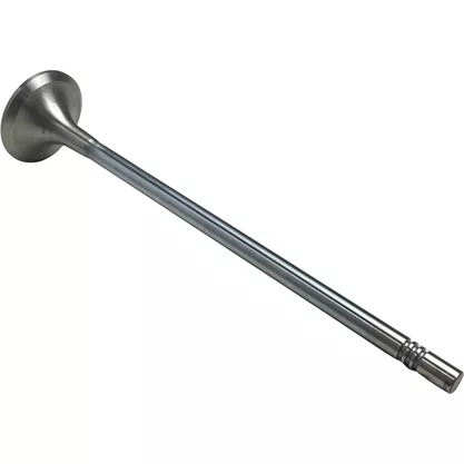 Valvula Escape Volvo FH D13 50 Graus Euro 5 20768519 21428674 Eaton