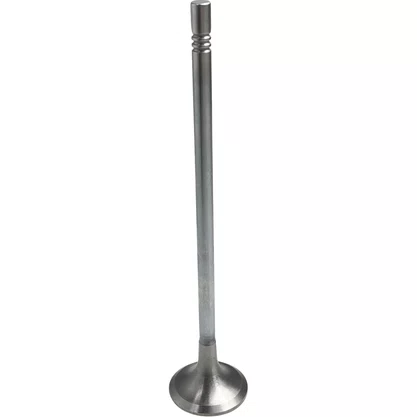 Valvula Escape Volvo FH D13 50 Graus Euro 5 20768519 21428674 Eaton
