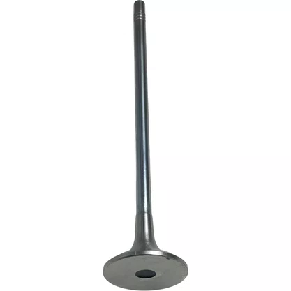 Valvula Escape Volvo FH D13 50 Graus Euro 5 20768519 21428674 Eaton