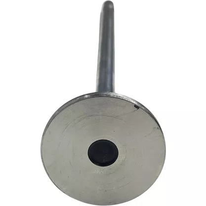 Valvula Escape Volvo FH D13 50 Graus Euro 5 20768519 21428674 Eaton