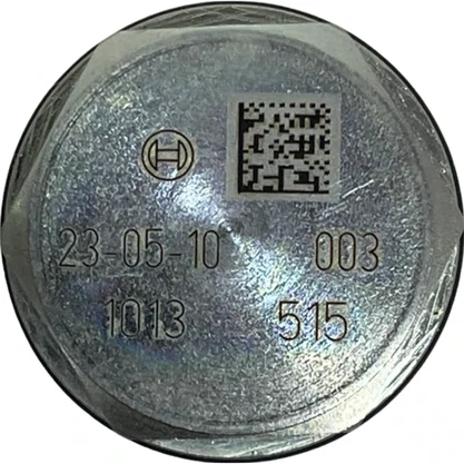 Valvula Reguladora Pressao Rail Ford Volvo 1110010013 Bosch