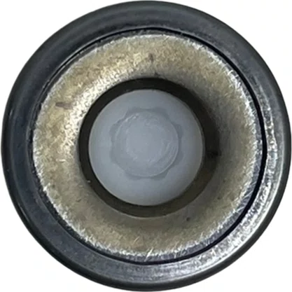 Valvula Retencao Scania Todos Volvo 2447419002 206027 Bosch