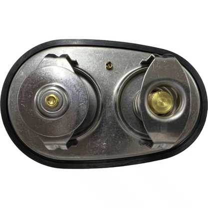 Valvula Termostatica Scania Euro 5