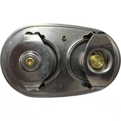 Valvula Termostatica Scania Euro 5