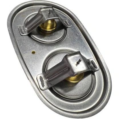 Valvula Termostatica Scania Euro 5