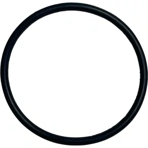 Anel Bomba Alimentadora Scania Eletronico 506876 BrCompany