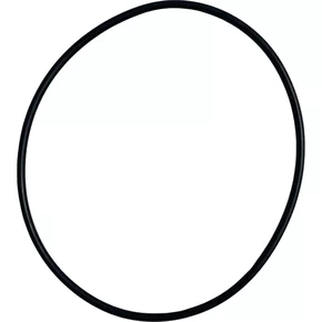 Anel Filtro Rotativo Scania S4 Menor 117,07x3,53 BrCompany