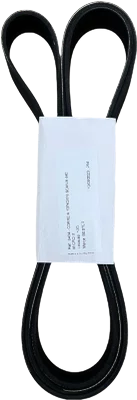 Correia 10PK2475 Scania Euro 5 Micro V 1920231 Bester