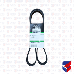 Correia 8PK1538 Volkswagen Volvo Scania 8PK1538 Gates
